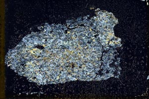 Cross Polarized, S10963