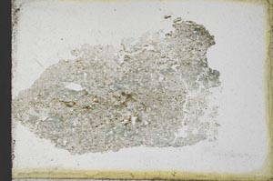 Plane Polarized, S10963