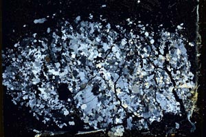 Cross Polarized, S10965