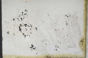 Plane Polarized, S10965