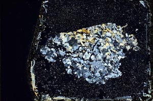 Cross Polarized, S10965/B