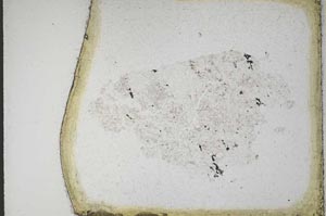 Plane Polarized, S10965/B