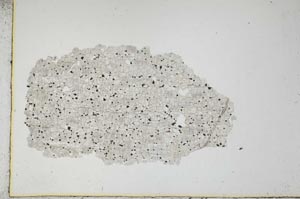 Plane Polarized, S10966