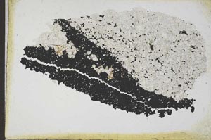 Plane Polarized, S10969