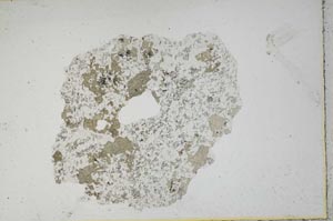 Plane Polarized, S10986