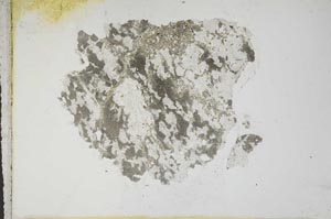 Plane Polarized, S10992