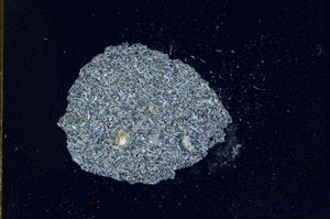 Cross Polarized, S10994