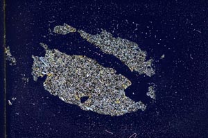 Cross Polarized, S10995