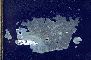 Cross Polarized, S10996