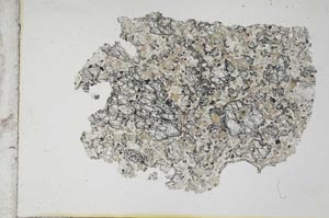 Plane Polarized, S10997