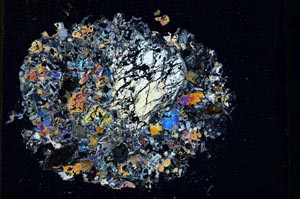 Cross Polarized, S10998