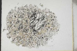 Plane Polarized, S10998