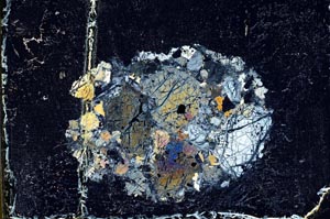 Cross Polarized, S10999