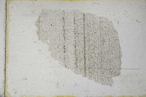 Plane Polarized, S11016