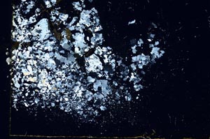 Cross Polarized, S11018