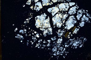 Cross Polarized, S11018/A