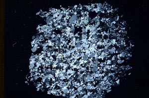 Cross Polarized, S11020