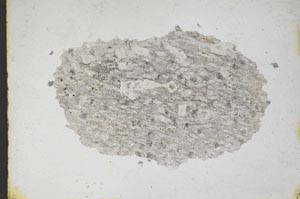 Plane Polarized, S11021