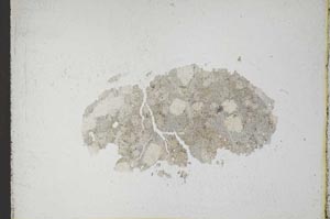 Plane Polarized, S11022