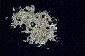 Cross Polarized, S11023