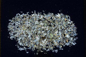 Cross Polarized, S11024