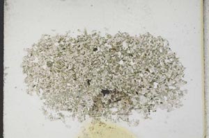 Plane Polarized, S11024