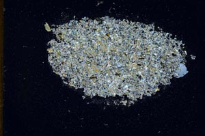 Cross Polarized, S11025