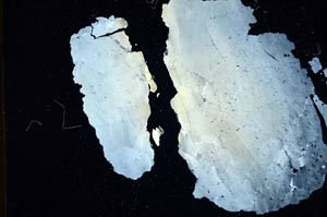 Cross Polarized, S11026