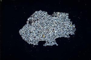 Cross Polarized, S11027