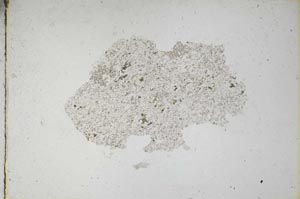 Plane Polarized, S11027