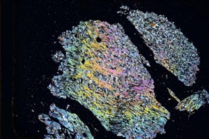 Cross Polarized, S11028