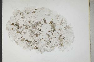 Plane Polarized, S11031