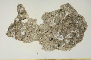 Plane Polarized, S1263