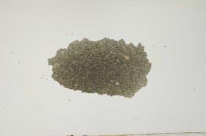 Plane Polarized, S1264
