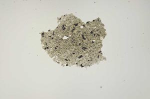 Plane Polarized, S1266