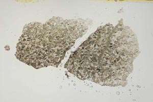 Plane Polarized, S1270
