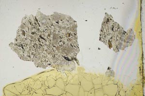 Plane Polarized, S1271