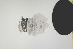 Plane Polarized, S1280