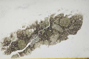 Plane Polarized, S1296