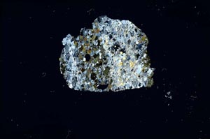 Cross Polarized, S1313