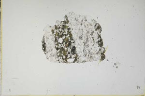 Plane Polarized, S1313