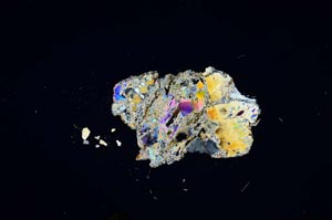 Cross Polarized, S1321