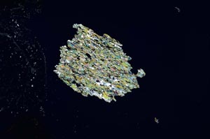 Cross Polarized, S1325