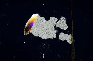 Cross Polarized, S1326