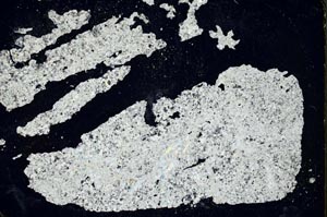 Cross Polarized, S1326/A