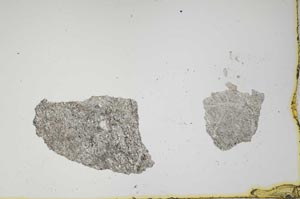 Plane Polarized, S1331