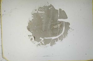Plane Polarized, S1332