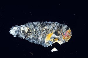 Cross Polarized, S1333