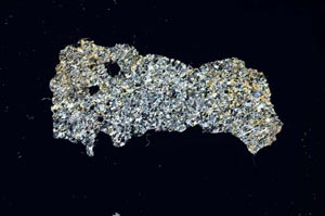 Cross Polarized, S1342