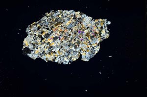 Cross Polarized, S1343